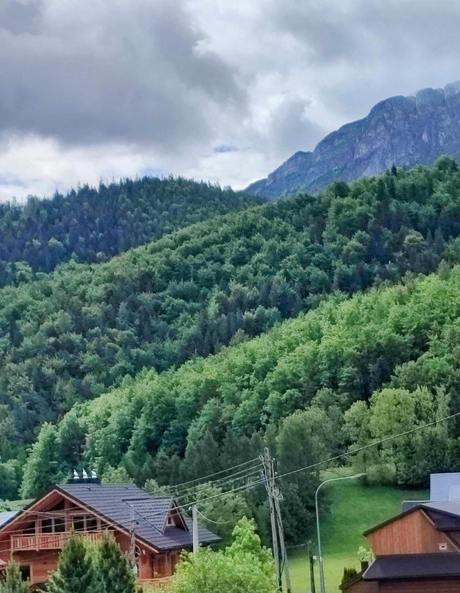 Dom Lesnik Lejlighed Zakopane Eksteriør billede
